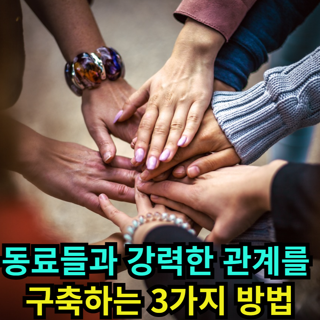 동료들과 강력한 관계를 구축하는 3가지 방법