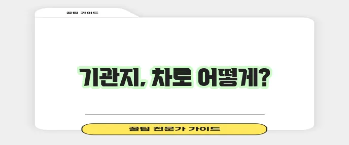 기관지에 좋은 차 6가지 꼭 알아봐야겠죠?