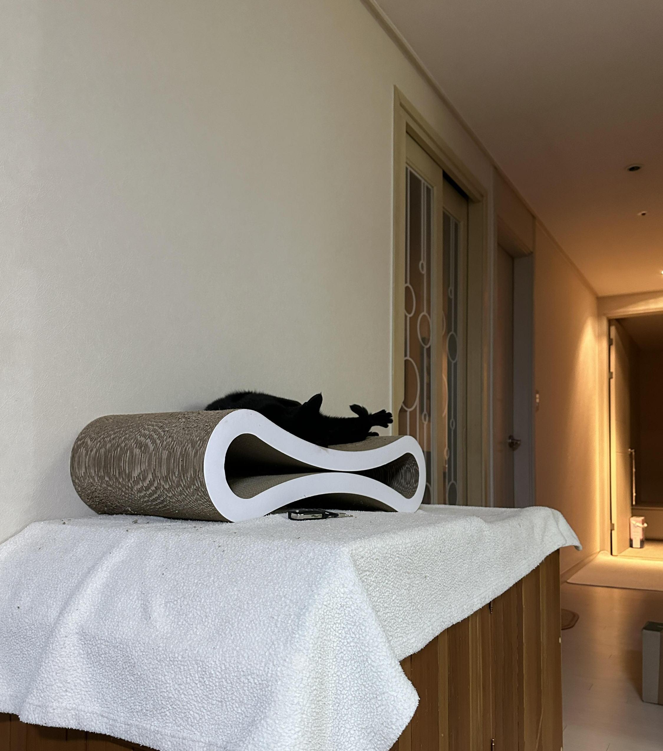 스크래쳐_위에_누워_있는_올블랙고양이_건이