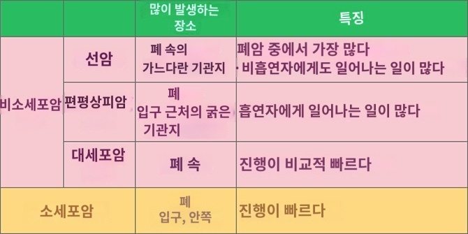폐암 증상 원인 검사 치료