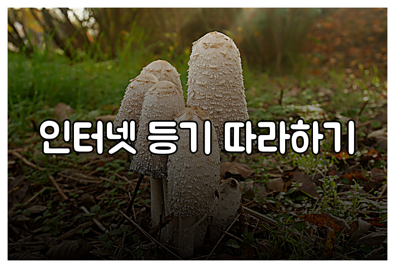 인터넷 등기 따라하기