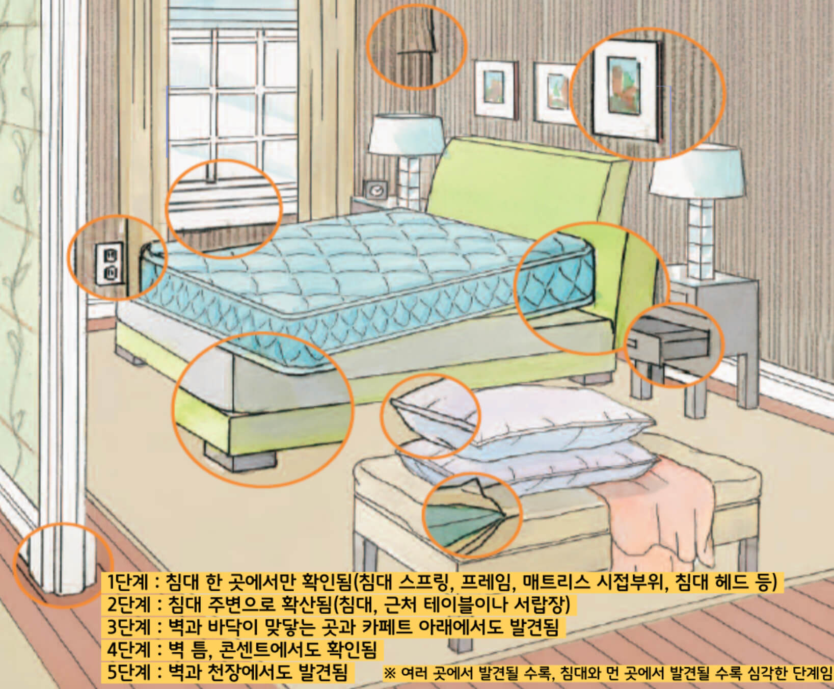 빈대 흔적 조사