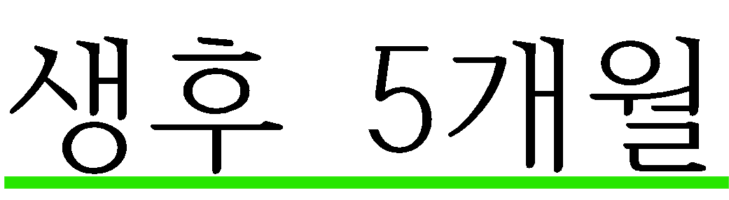 생후 5개월