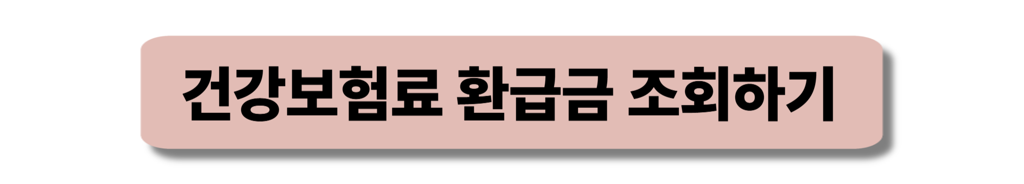 건강보험료 환급 신청 방법, 환급금 조회, 과오납