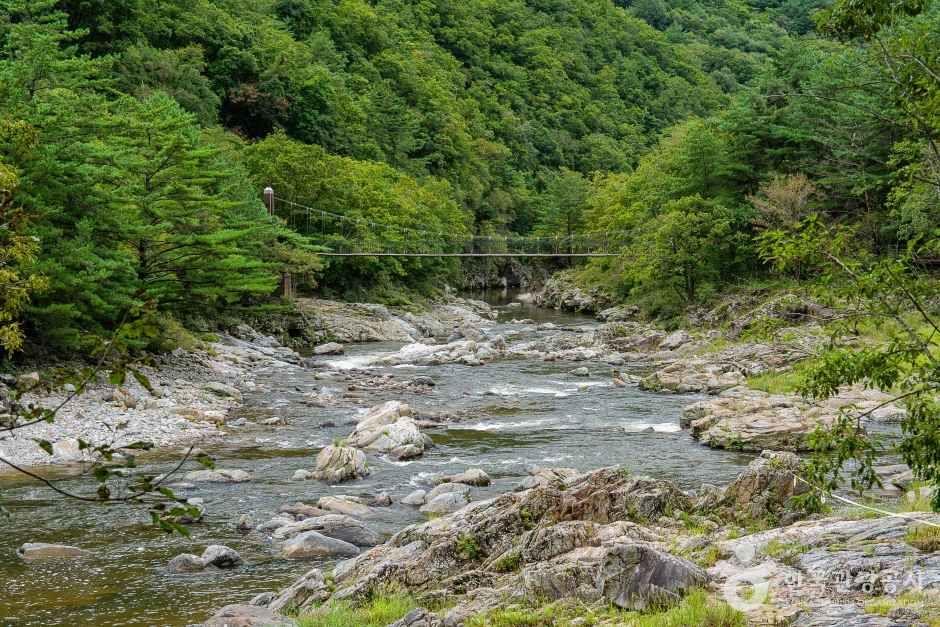 [강원도 여행지 추천] 양구 가볼만한 곳 베스트 10 두타연
