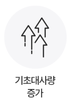 푸응 팻버닝 다이어트 효과