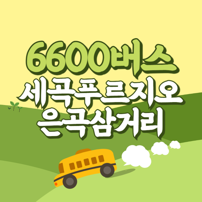 세곡푸르지오.은곡삼거리에서 인천공항 리무진 공항버스(6600번) 썸네일