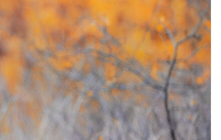 근로자휴가지원