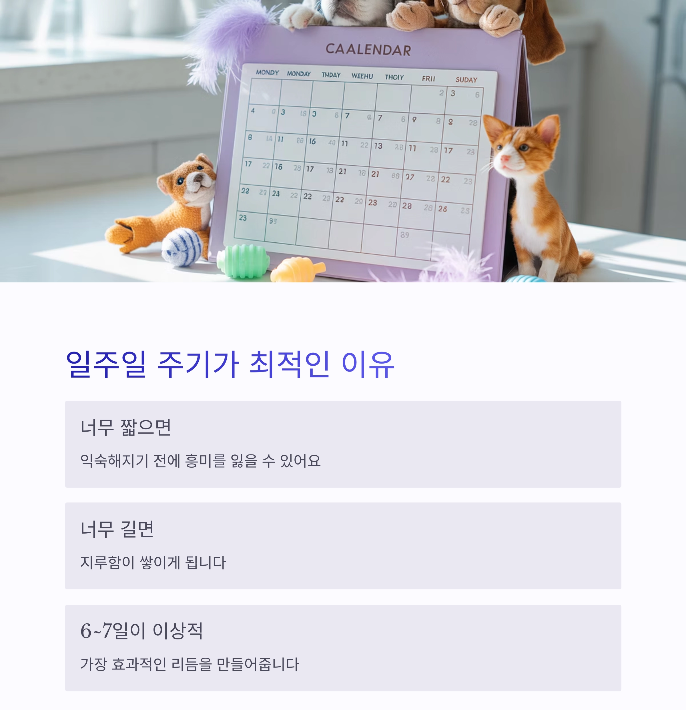 반려동물 장난감, 1주일 단위로 바꿔줘야 하는 이유