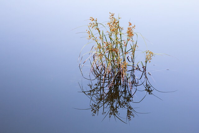 스마트폰 사진 잘 찍는 법