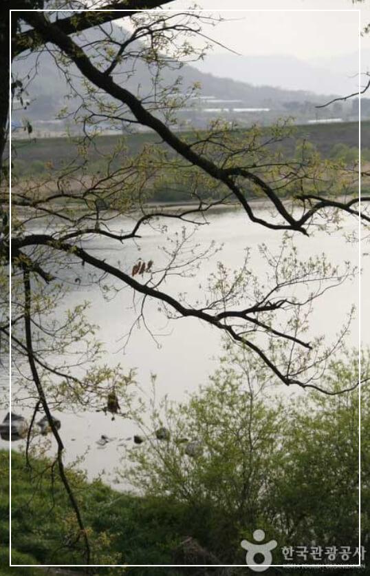 구례 가볼만한곳 베스트10 섬진강 뚝방길