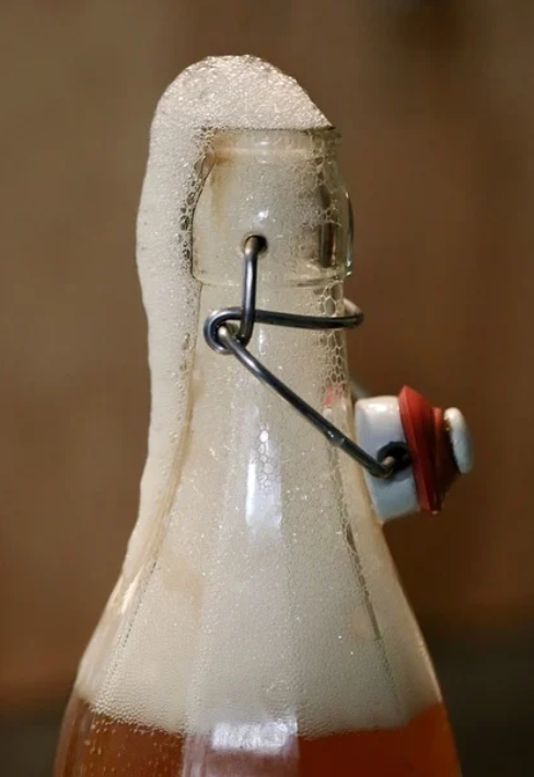 콤부차 효능&amp;#44; 콤부차 마시는법