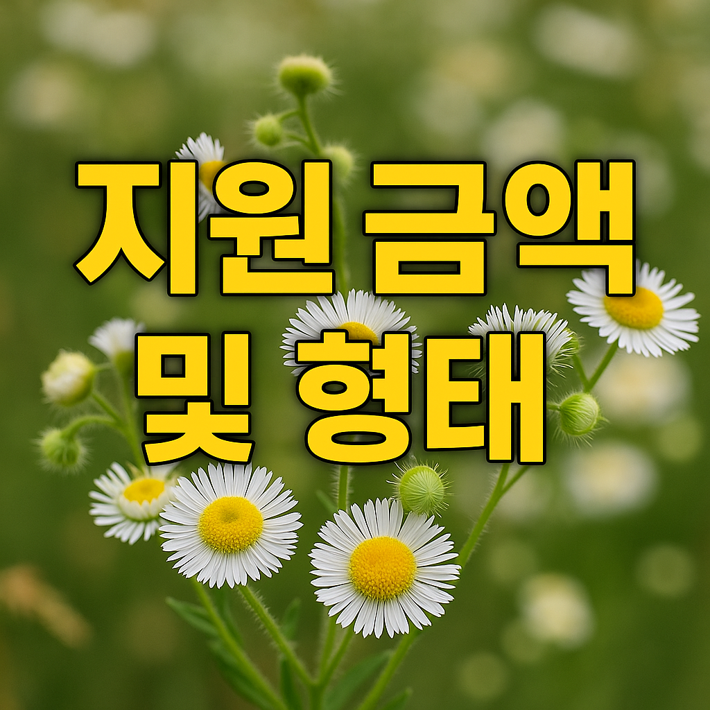 지원 금액 및 형태
