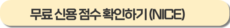 신용점수 확인