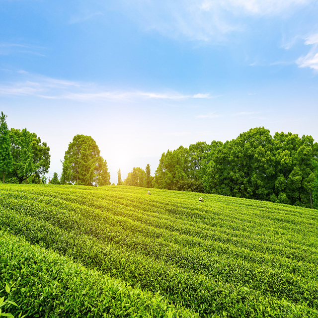 농업교육포털 회원가입