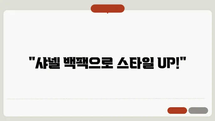 샤넬 백팩 가방 추직