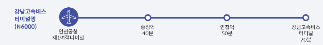 N6000(심야) 심야 공항리무진 노선도