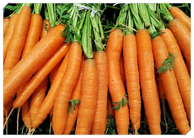 식도염 좋은 음식