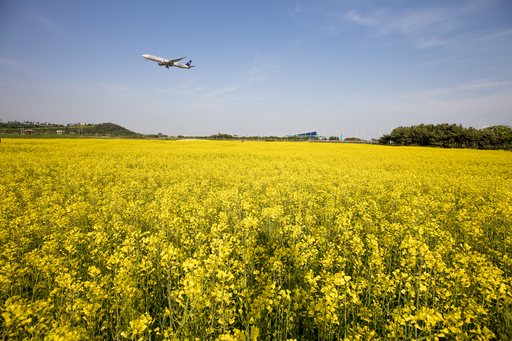 영종도에서 봄을 만끽! 힐링 여행지 & 맛집 TOP 50