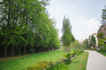 경의선숲길 관련 사진