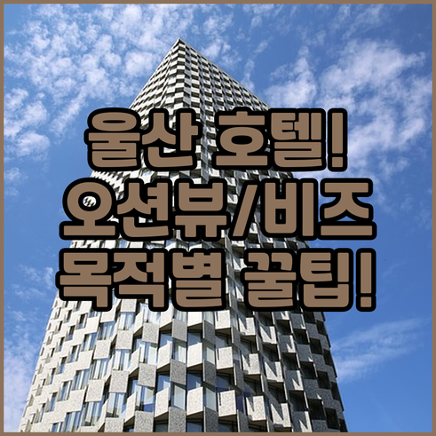 울산 여행 목적별 맞춤형 호텔 추천 ..
