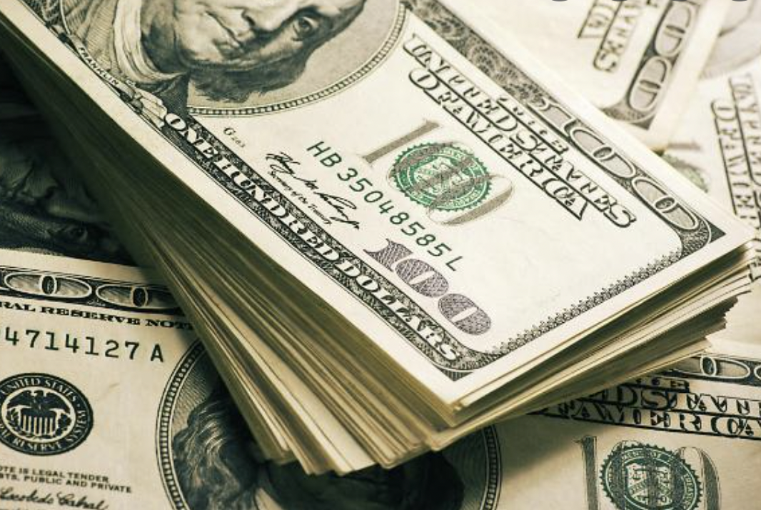 법인세신고/납부