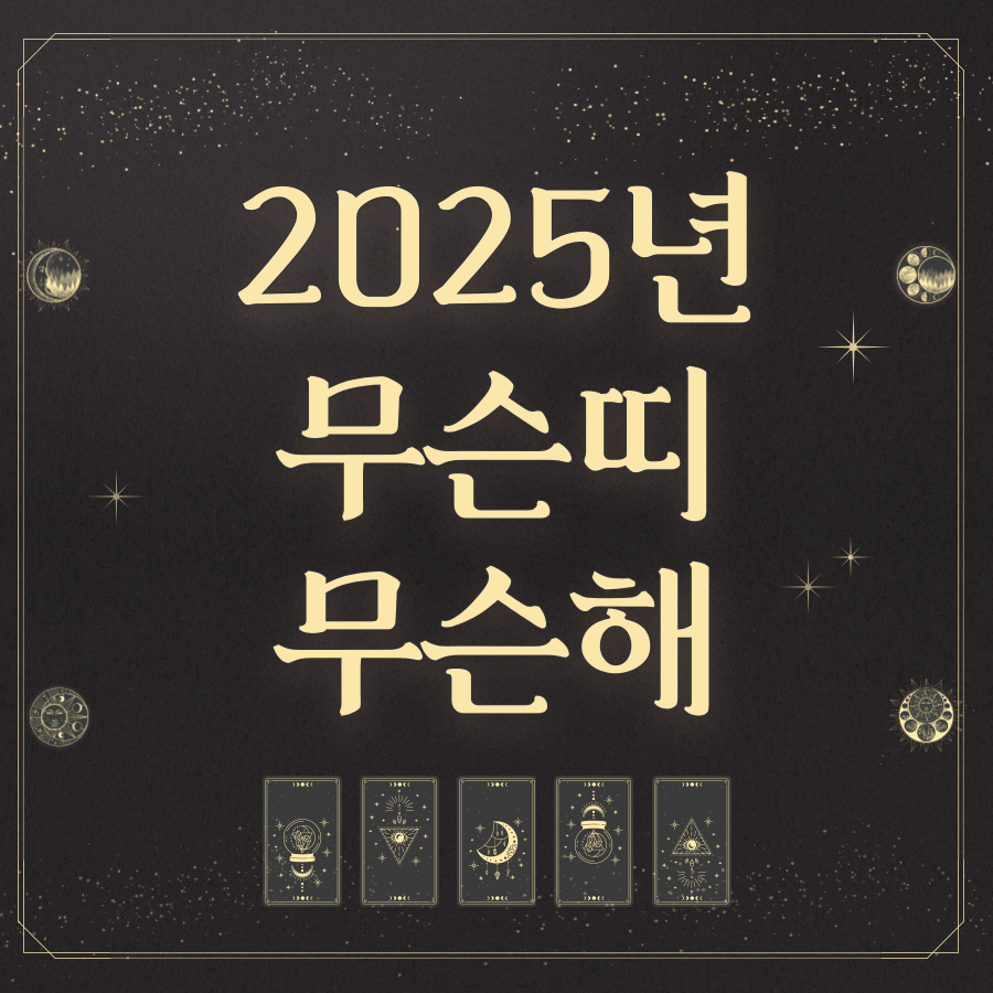 2025년 띠, 내년 무슨해, 삼재띠 복삼재 삼재 뜻, 신년운세 무료사주 보기