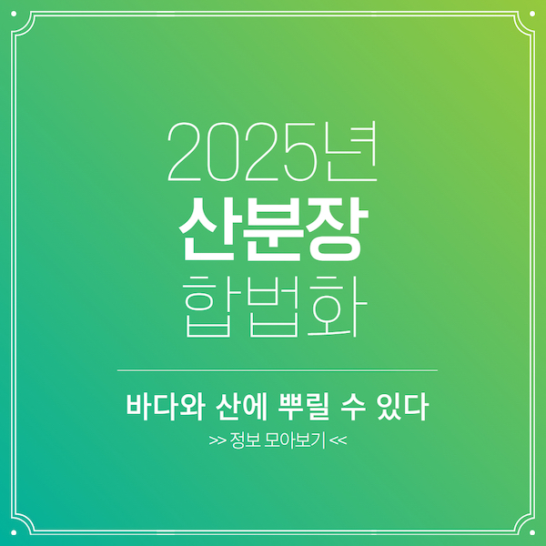 2025년 산분장 합법화