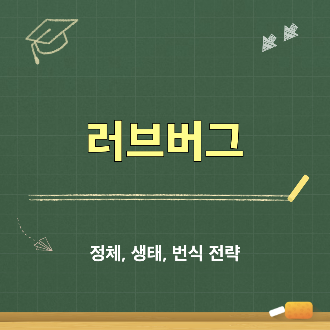 러브버그_정체_생태_번식전략