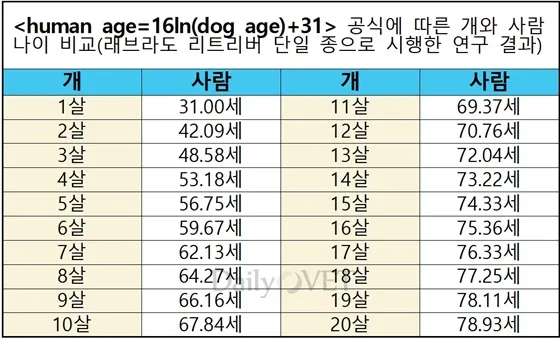 강아지 나이 환산법 가이드 실제 나이 확인 방법_3