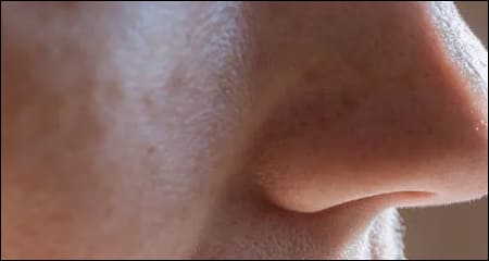 코가 보이는 옆 모습