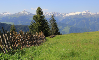 토지이용계획 확인원 신청 꿀팁 10