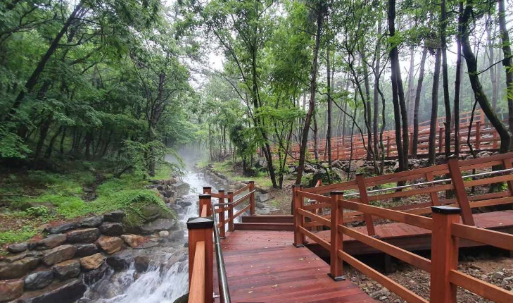 거제숲소리공원 산책로