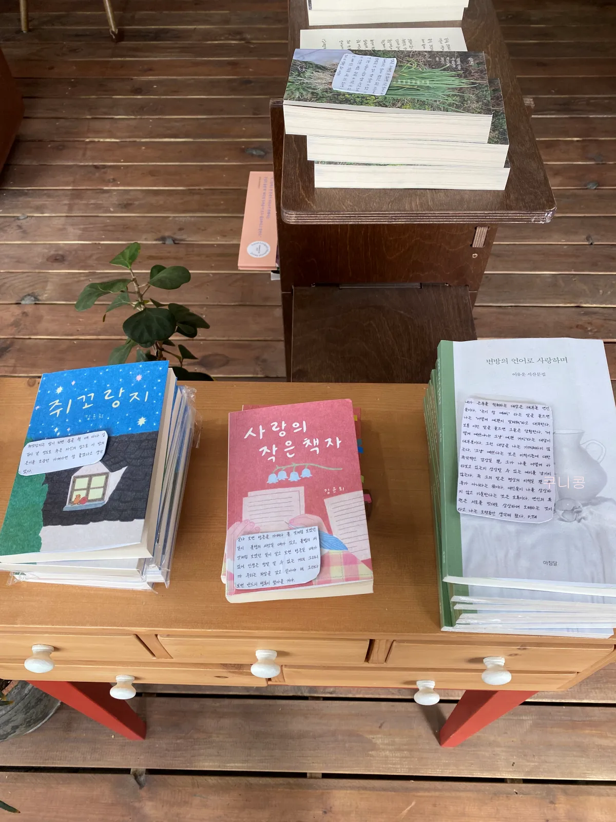 당일치기-뚜벅이여행하기-좋은-곳-강릉-시내-책방-서점투어-윤슬서림