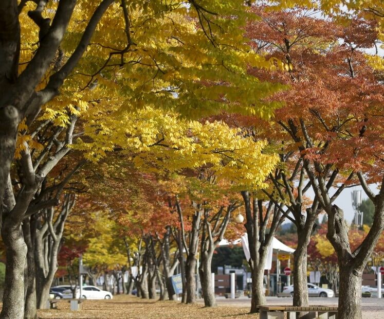 가을 단풍 명소 추천