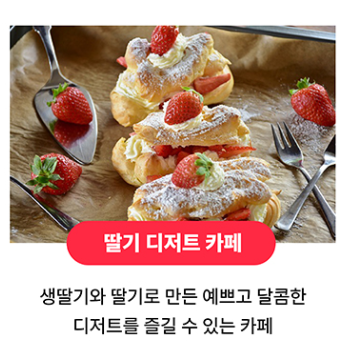 논산딸기축제 주차장