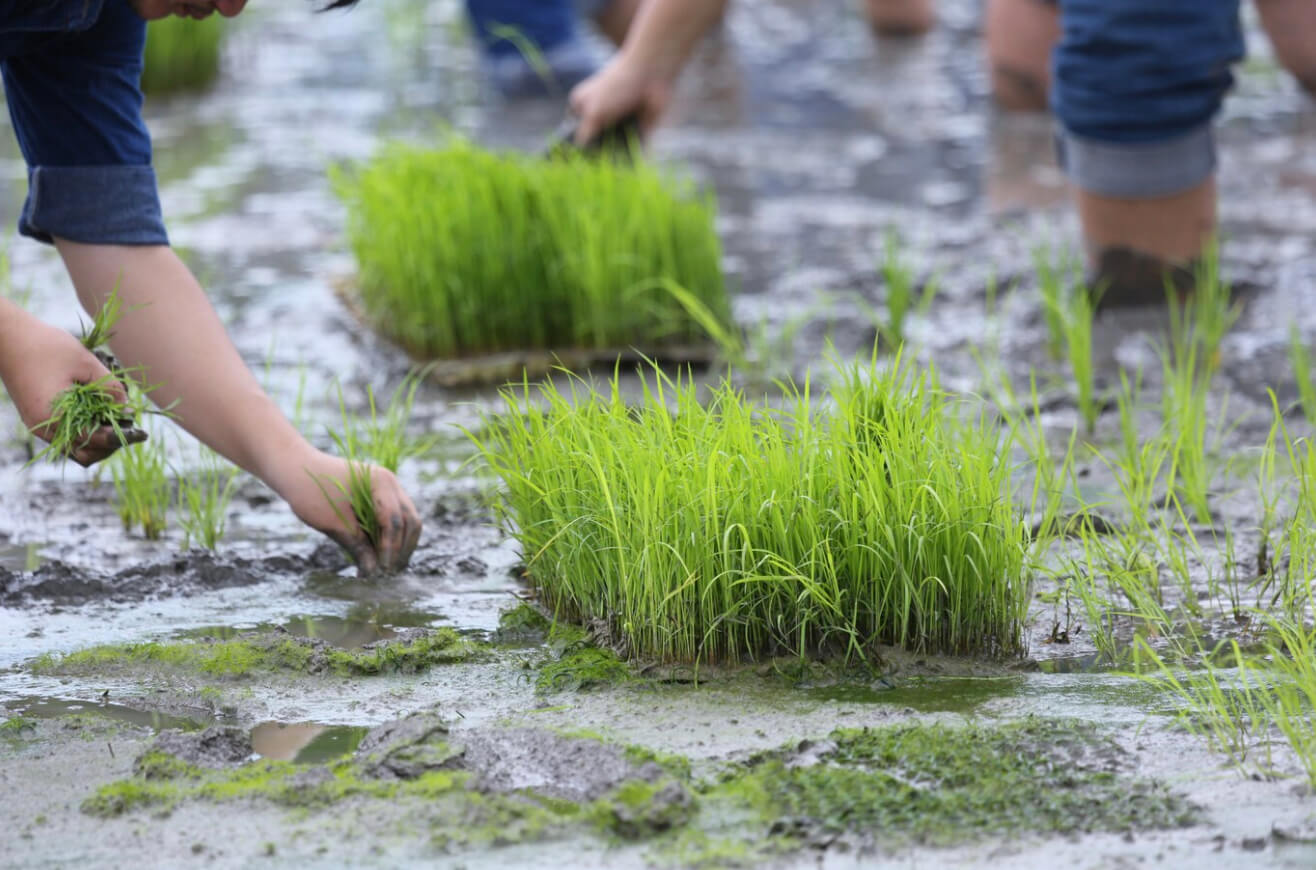 농어촌 건강보험료 지급