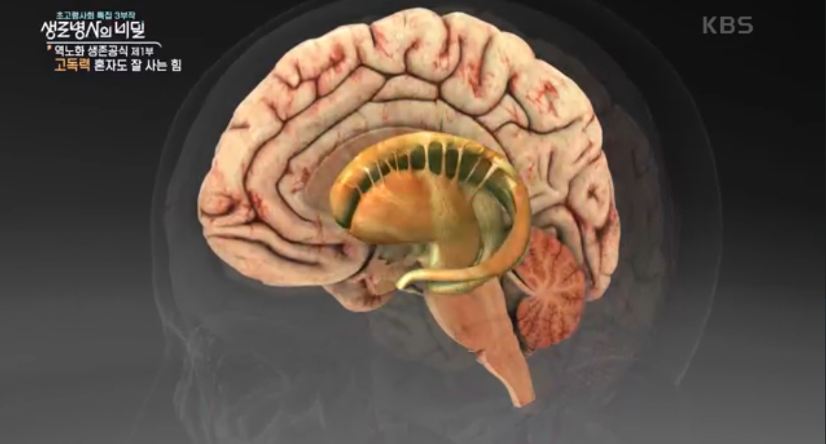 생로병사의 비밀