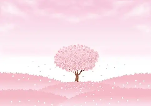 근로장려금 지급일