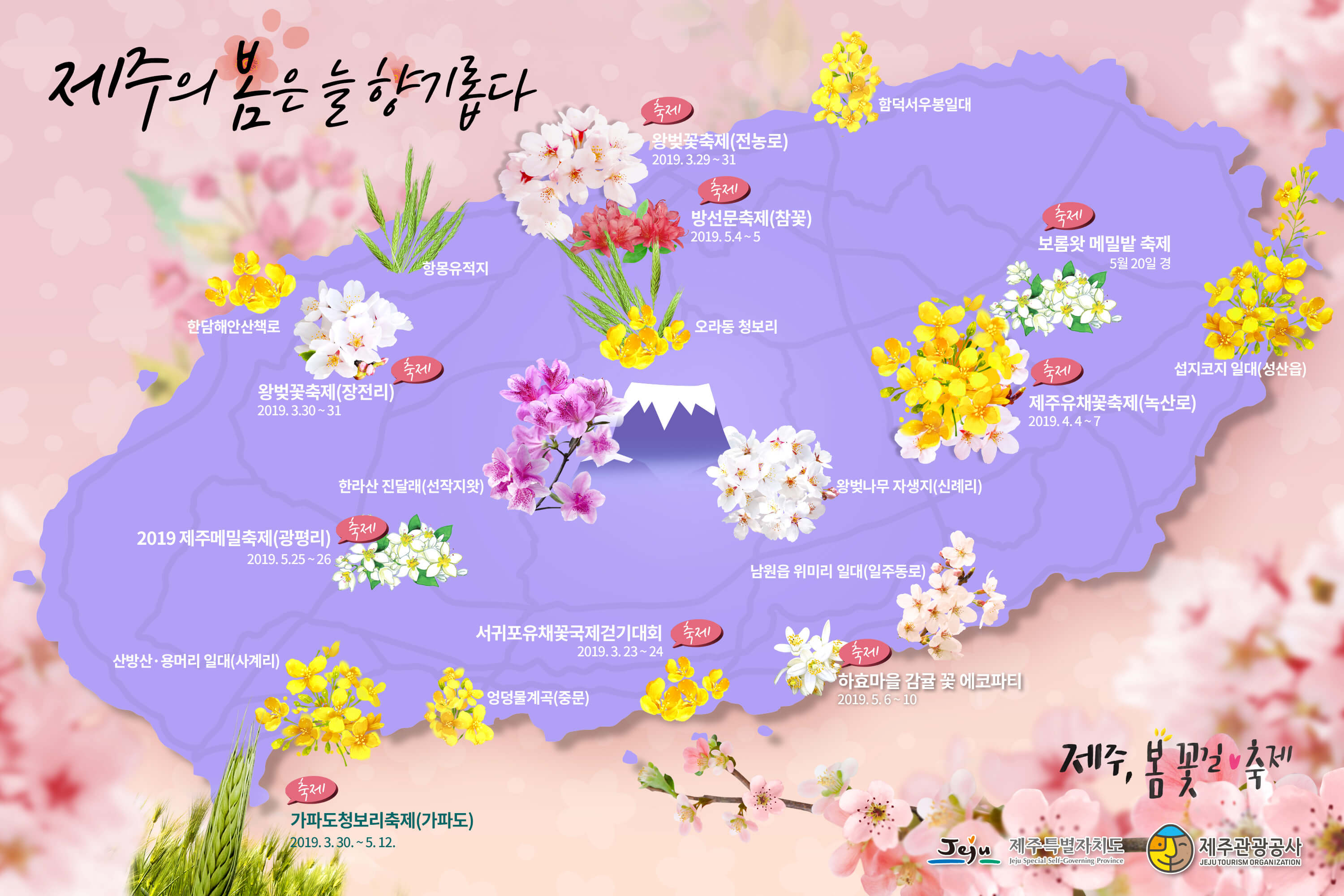 제주봄꽃명소지도