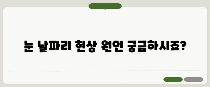 눈에 날파리 현상 시력 저하 전조일 수도