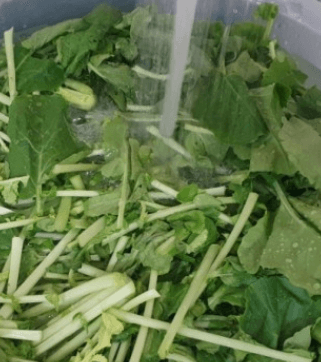 갓김치 맛있게 만드는 방법