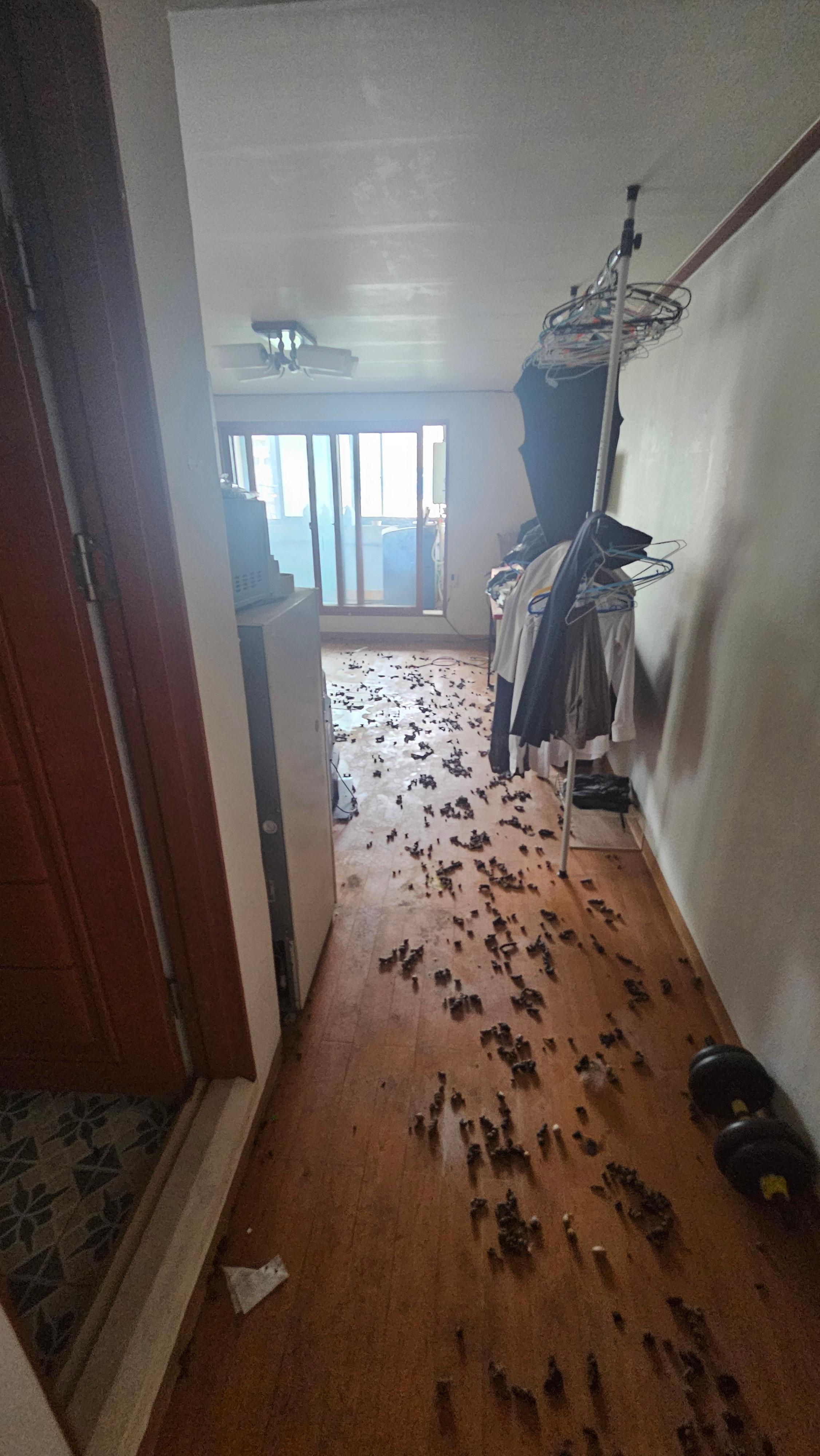 복도까지 확산된 배설물과 쓰레기 - 동선 확보 필요 구간