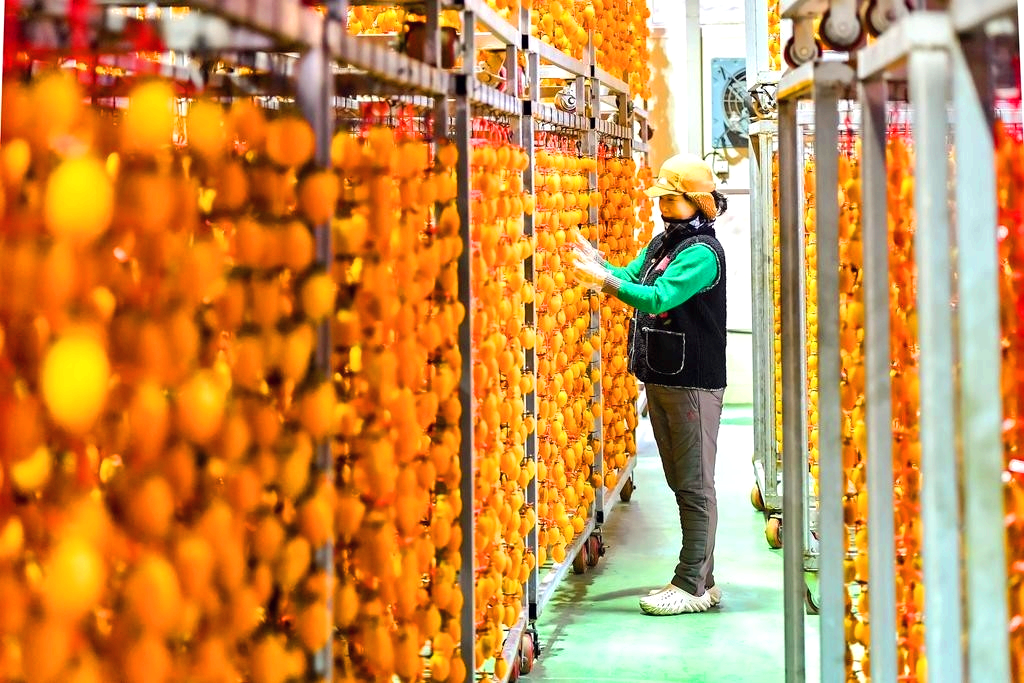 함안 곶감축제