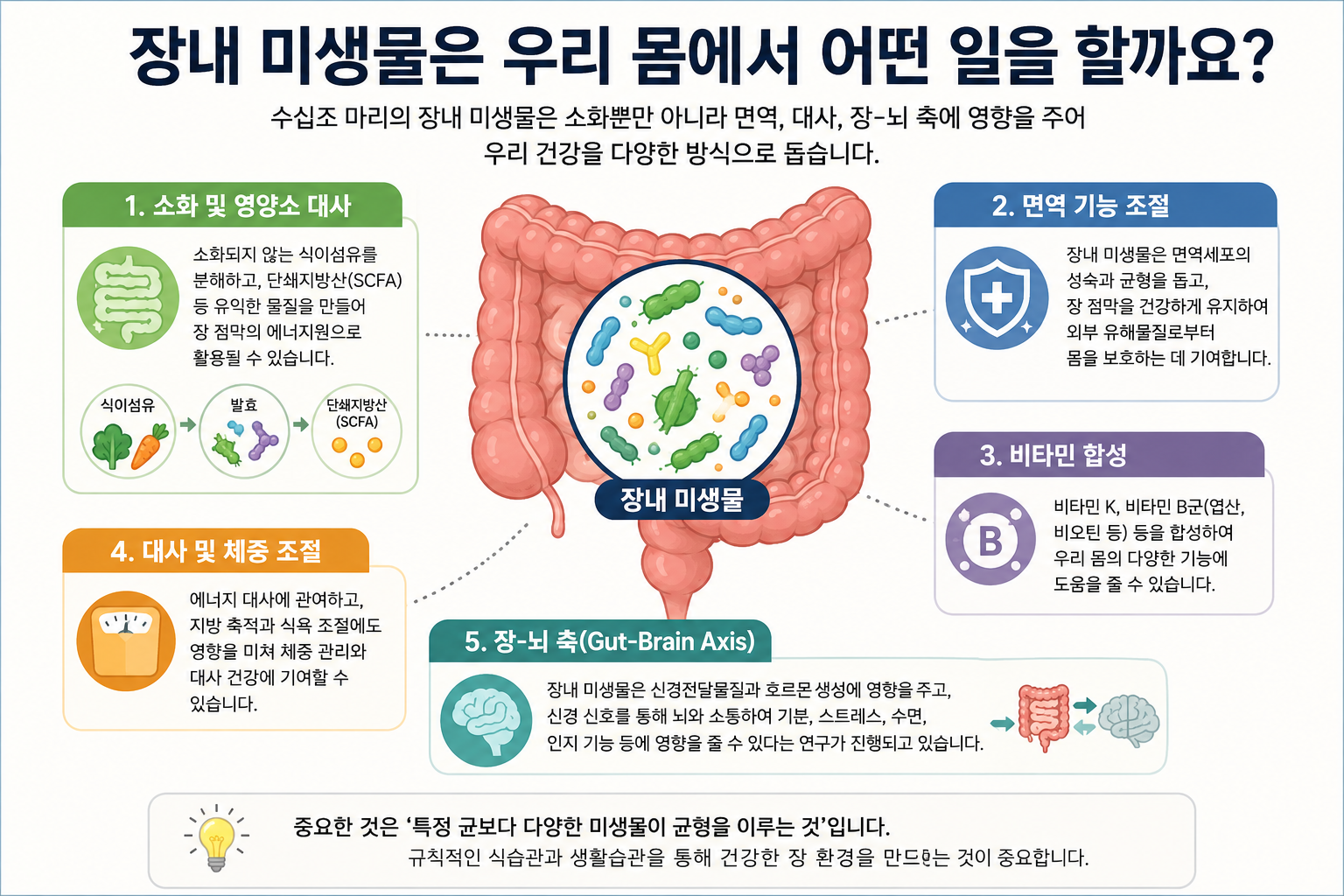 식이섬유 발효, 면역과 대사, 장&middot;뇌 신호 등 미생물 관련 기능 그림