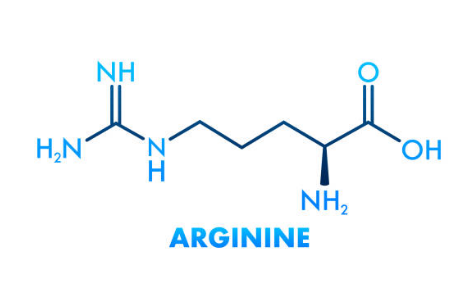 아르기닌 부작용, 아르기닌의 효능, 복용법 총정리 (2024ver)