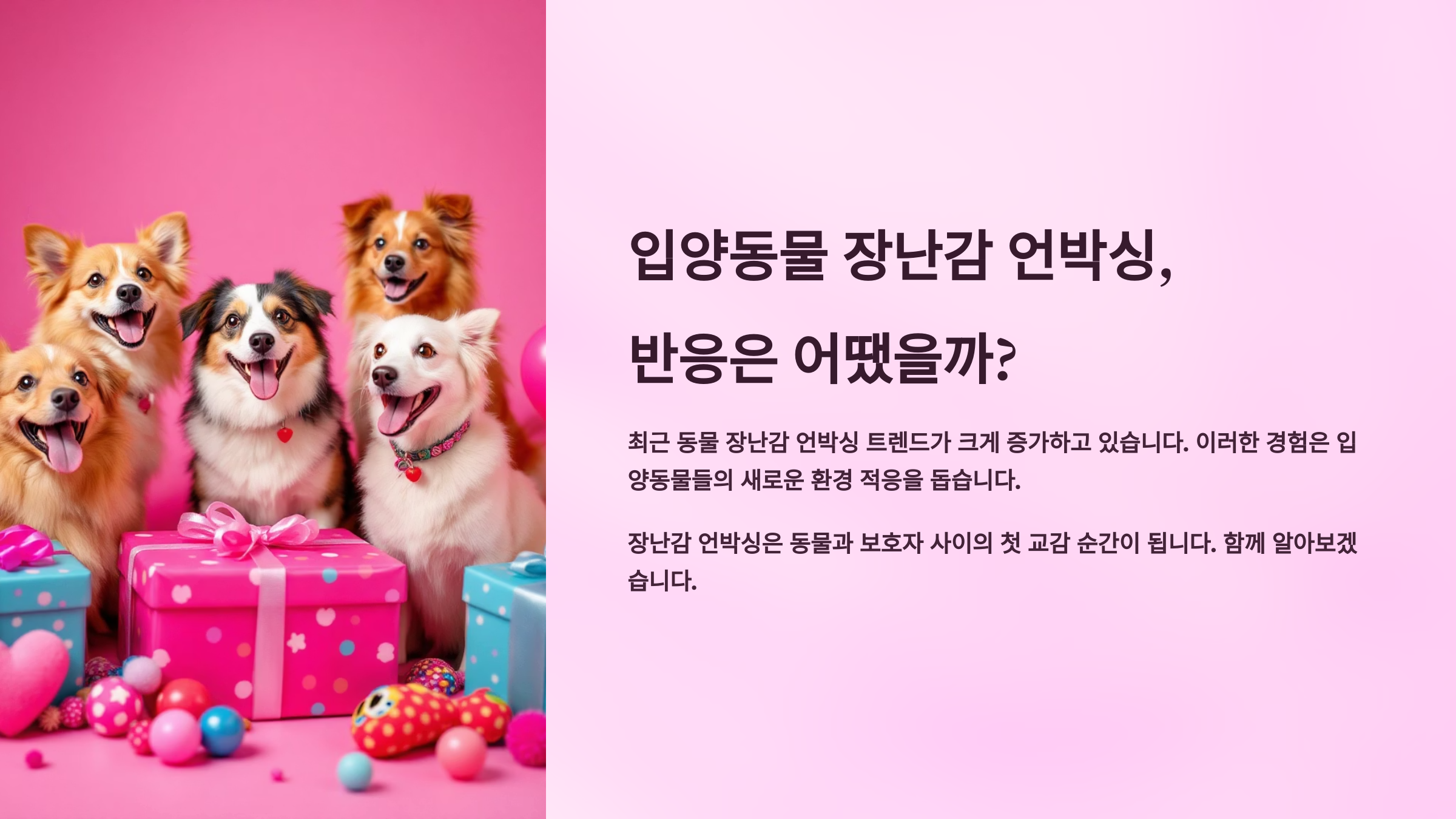 입양동물 장난감 언박싱, 반응은 어땠을까?