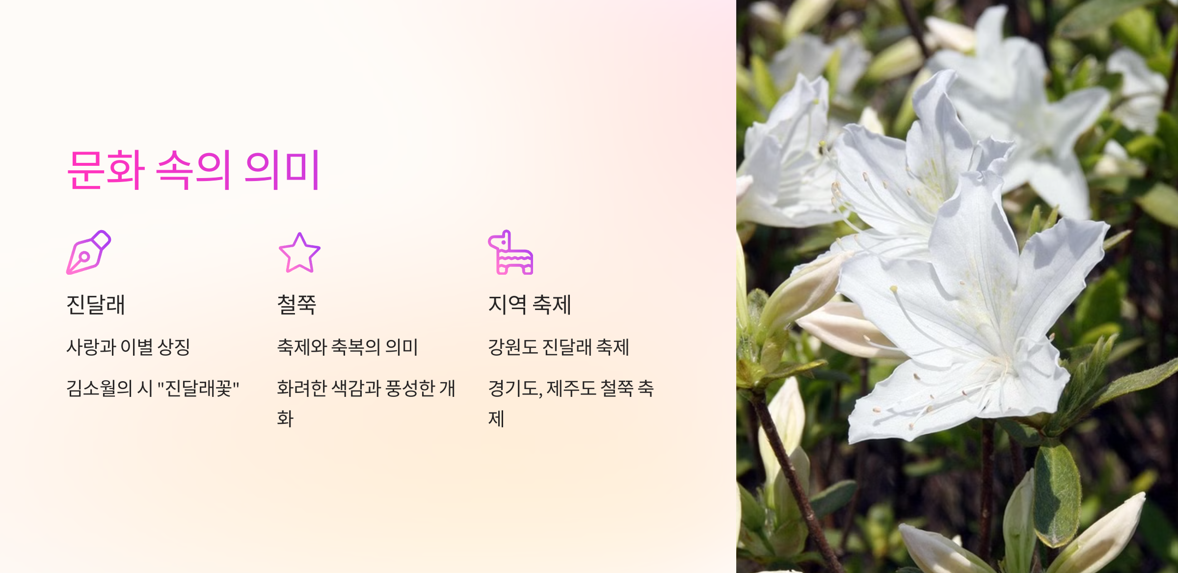 진달래와 철쭉