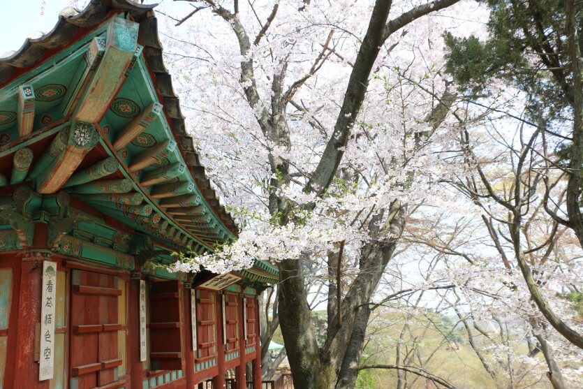 전등사 템플스테이