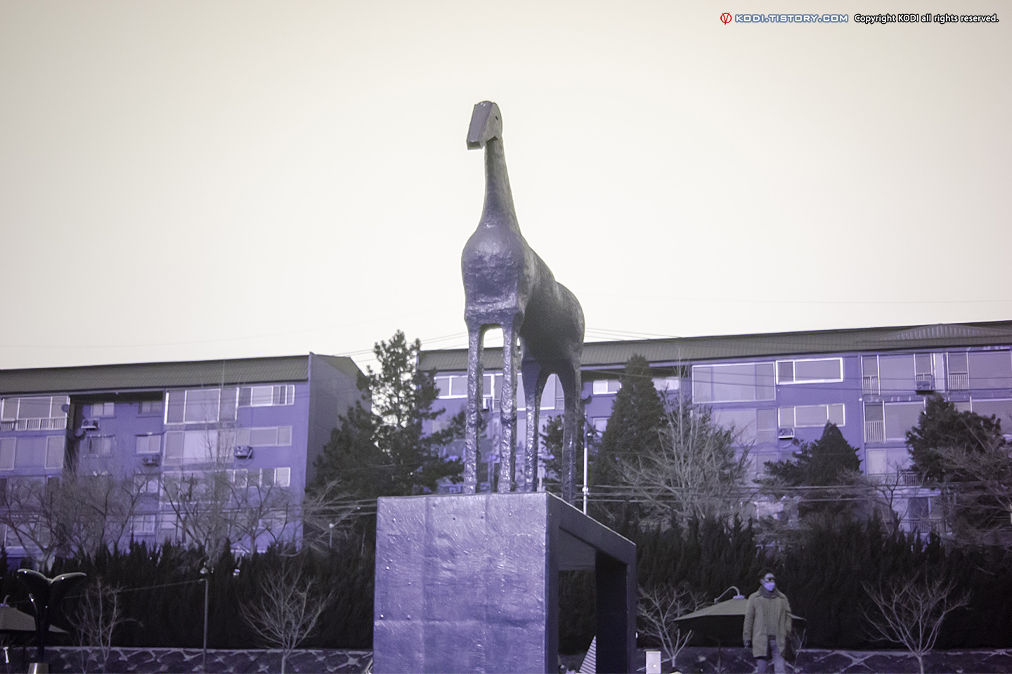 Nikon D5100 UV Photo